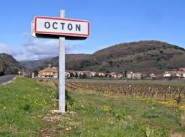 Immobilier Octon